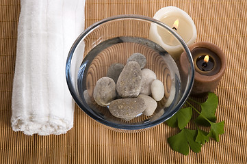 Image showing alternative medicine. ginkgo biloba therapy