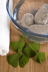 Image showing alternative medicine. ginkgo biloba therapy