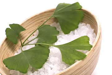 Image showing ginkgo biloba bath