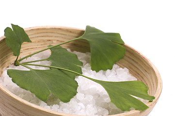 Image showing ginkgo biloba bath