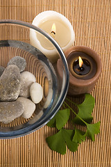 Image showing alternative medicine. ginkgo biloba therapy