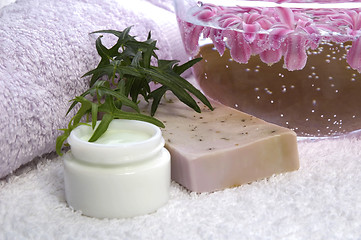 Image showing aroma bath. spa