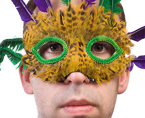 Image showing Man Wearing Feather Mask