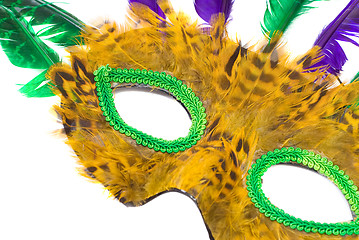 Image showing Feather Mask