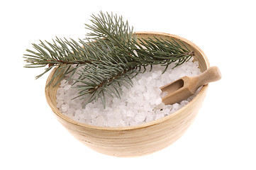 Image showing pine bath items. alternative medicine