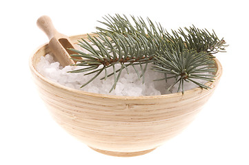 Image showing pine bath items. alternative medicine