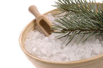 Image showing pine bath items. alternative medicine