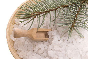 Image showing pine bath items. alternative medicine