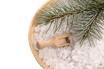 Image showing pine bath items. alternative medicine