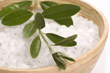 Image showing spa. bath salt and olive branch