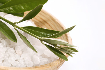Image showing spa. bath salt and olive branch