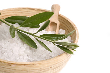 Image showing spa. bath salt and olive branch