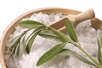 Image showing spa. bath salt and olive branch