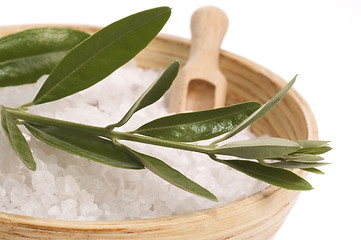 Image showing olive bath items. alternative medicine