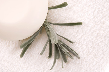 Image showing milk soap and fresh herbs