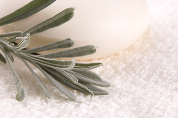 Image showing milk soap and fresh herbs