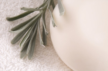 Image showing milk soap and fresh herbs