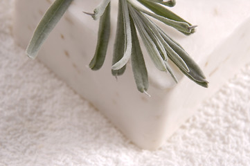 Image showing milk soap and fresh herbs