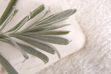 Image showing milk soap and fresh herbs