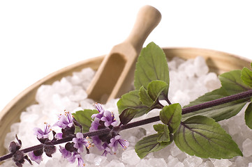 Image showing aroma bath. sea salt and basil with flowers