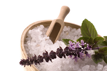 Image showing aroma bath. sea salt with herbs