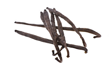 Image showing vanilla beans