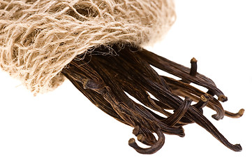 Image showing vanilla beans