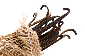 Image showing vanilla beans