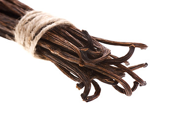 Image showing vanilla beans