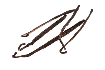 Image showing vanilla beans