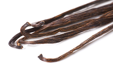 Image showing vanilla beans