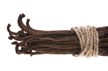 Image showing vanilla beans