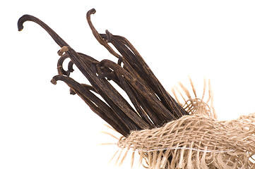 Image showing vanilla beans