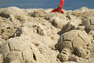 Image showing sand turtles