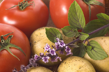 Image showing cut fresh herbs and vegatables