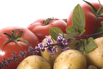 Image showing cut fresh herbs and vegatables