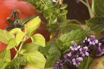 Image showing cut fresh herbs and vegatables