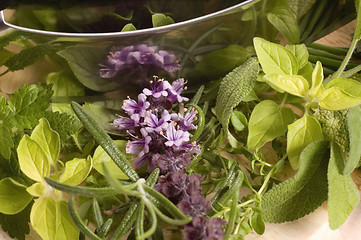 Image showing chopping fresh herbs.