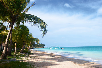 Image showing Tropical beach in Brazil 