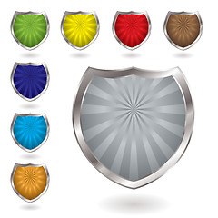 Image showing radiate shield