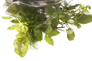 Image showing chopping fresh herbs.