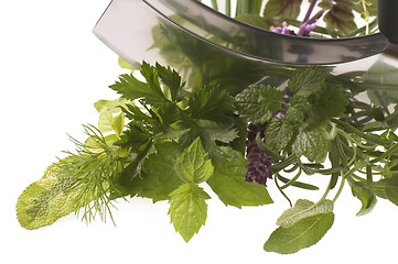 Image showing chopping fresh herbs.