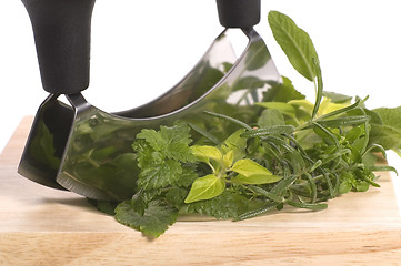 Image showing chopping fresh herbs.