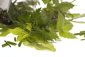 Image showing chopping fresh herbs.