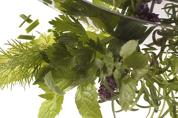 Image showing chopping fresh herbs.