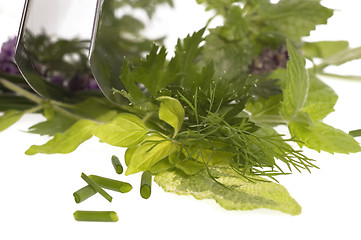 Image showing chopping fresh herbs.