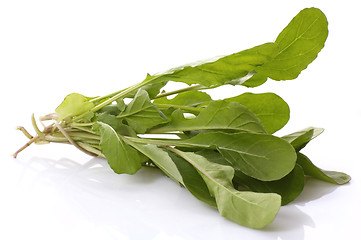 Image showing fresh rucola