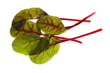 Image showing fresh vegetables - spinach beet