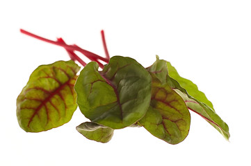 Image showing fresh vegetables - spinach beet