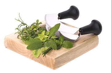 Image showing chopping fresh herbs